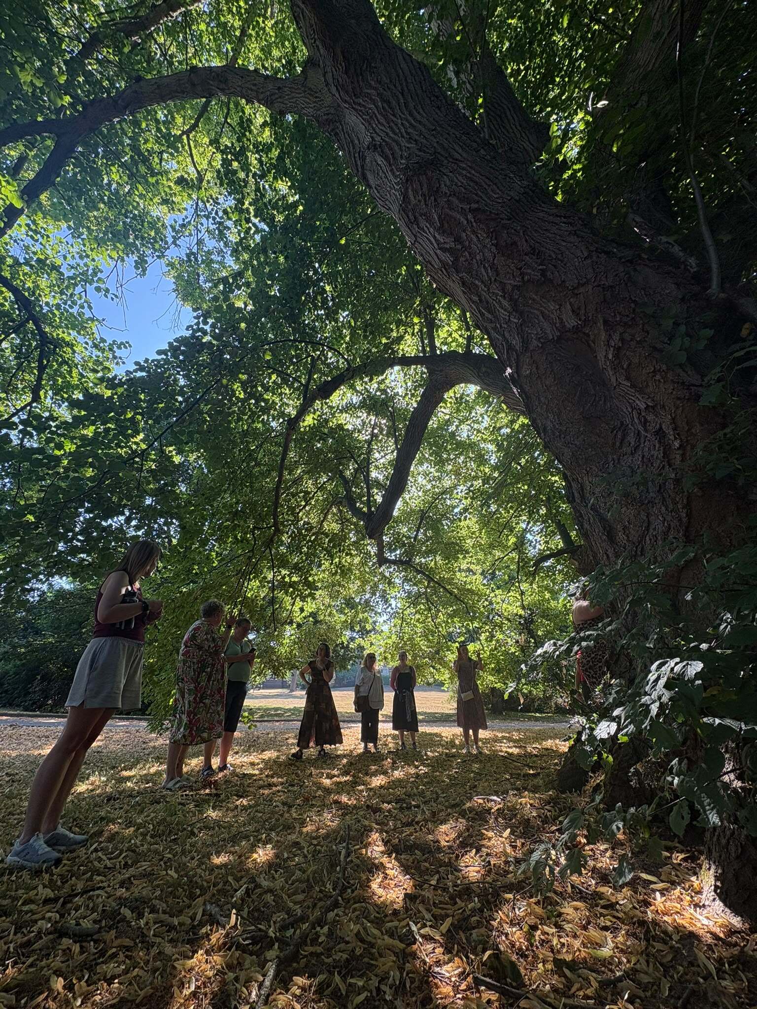 A group standing quietly beneath a vast arching canopy